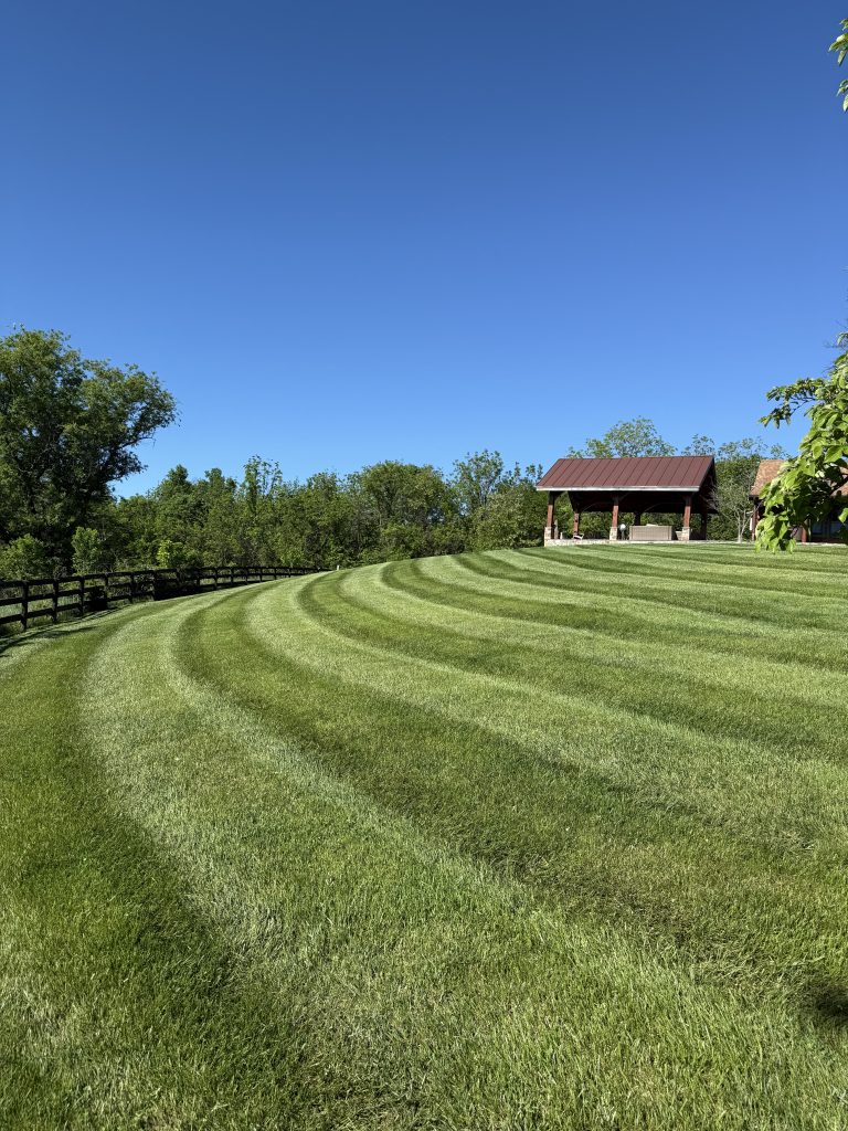 lawn manicured by a lawn mowing service