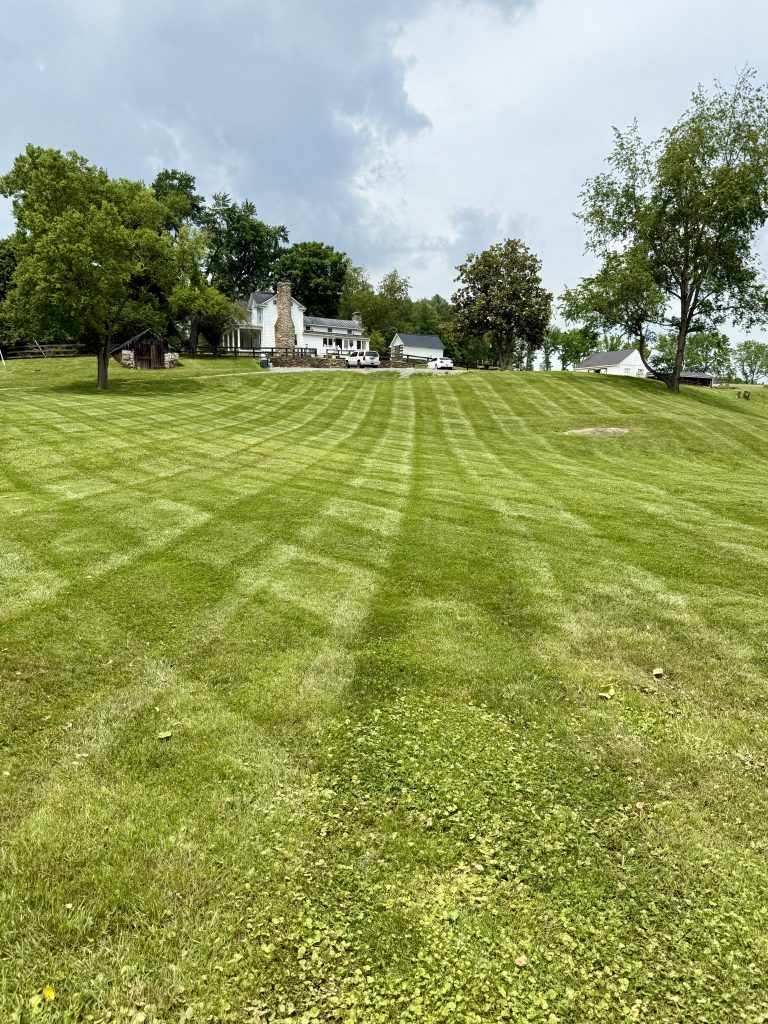 lawn care and maintenance example