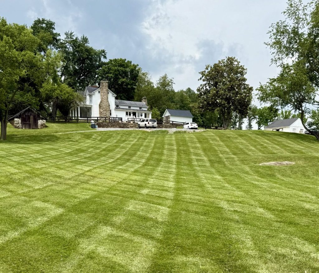 house with manicured lawn care