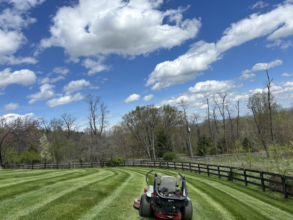 lawn mowing by a lawn care service