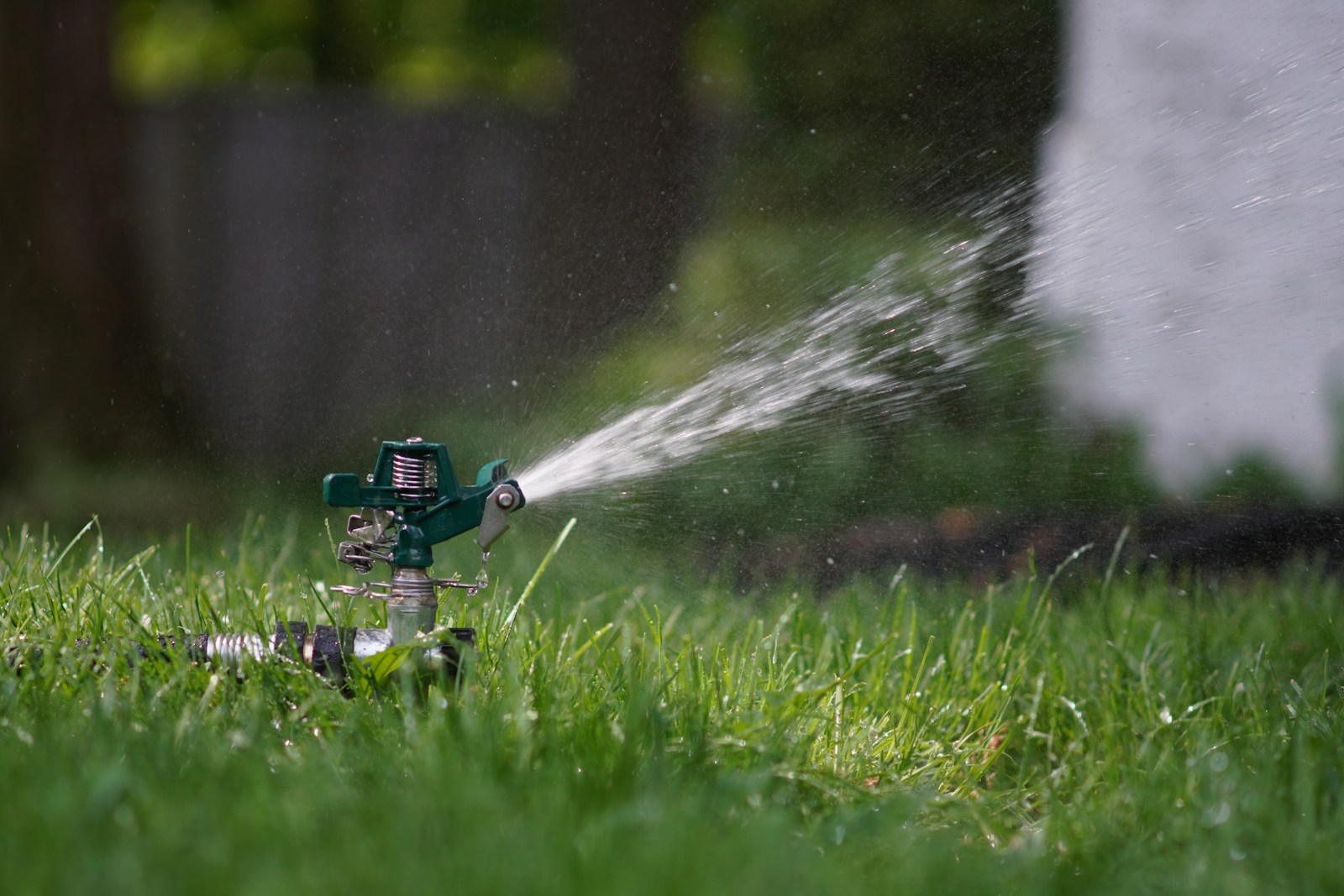 sprinkler spraying water on green grass