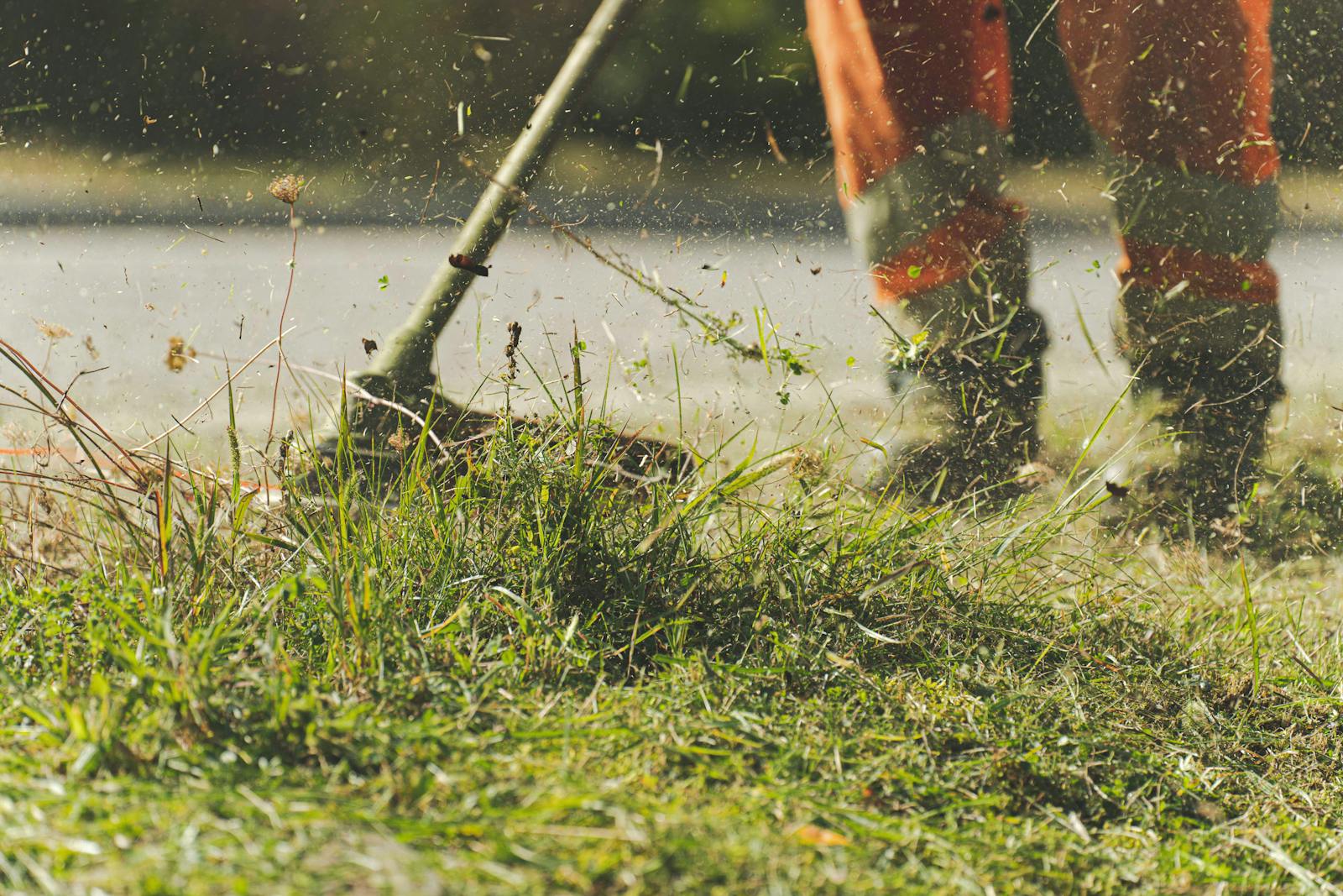A person using a weed whacker on a lawn