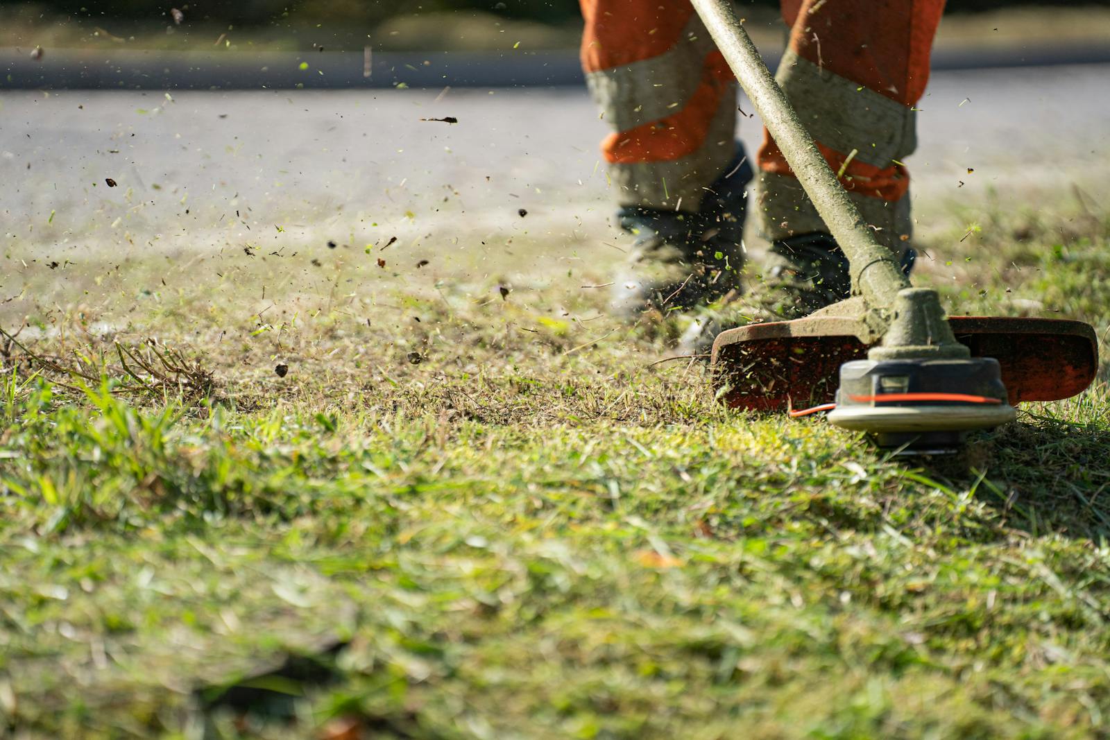 Close-up of a person providing lawn care service by weed whacking a lawn with grass clippings flying.