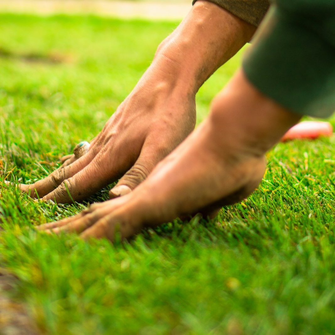 A close up of a person's hands touching the grass